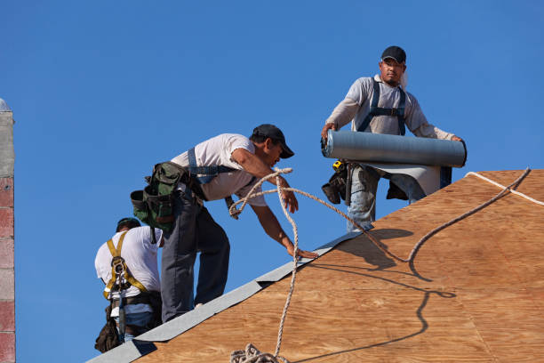 Best Roof Gutter Cleaning  in Hansville, WA