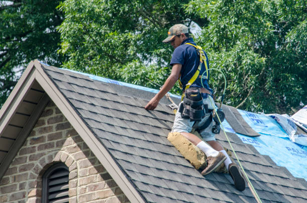 Professional Roofing Contractor in Hansville, WA